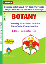 Flowering Plants Identification & Aesthetic Characteristics